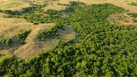 Hunting Ranch for Sale in Clay County Texas near Byers - image 34