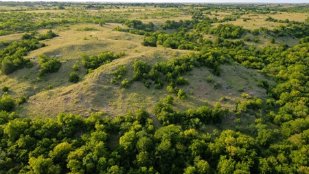 Hunting Ranch for Sale in Clay County Texas near Byers - image 15