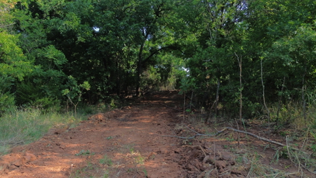 Hunting Ranch for Sale in Clay County Texas near Byers - image 29