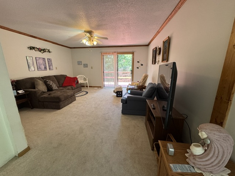 No Caption