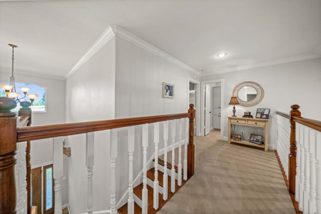 The Perfect Country Homestead in Quitman, Texas - Wood County - image 36