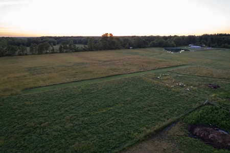 62± Acres, 22 Stalls & Stunning Country Home - image 41