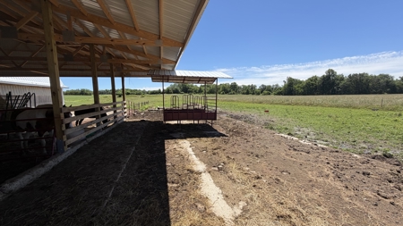 62± Acres, 22 Stalls & Stunning Country Home - image 37