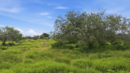 South Texas Development Property Near Three Rivers, Texas - image 5