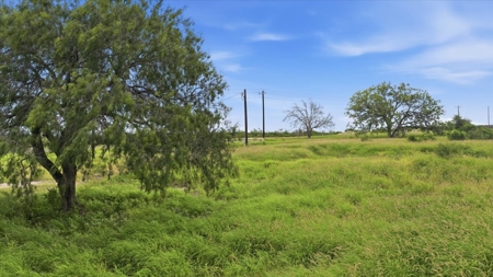 South Texas Development Property Near Three Rivers, Texas - image 2