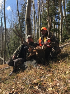 Colorado Wilderness Elk Hunting Outfitting Business for Sale - image 13