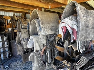 Colorado Wilderness Elk Hunting Outfitting Business for Sale - image 25