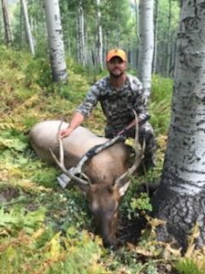 Colorado Wilderness Elk Hunting Outfitting Business for Sale - image 16