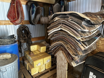 Colorado Wilderness Elk Hunting Outfitting Business for Sale - image 27