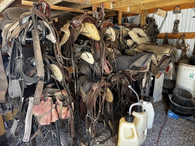 Colorado Wilderness Elk Hunting Outfitting Business for Sale - image 26