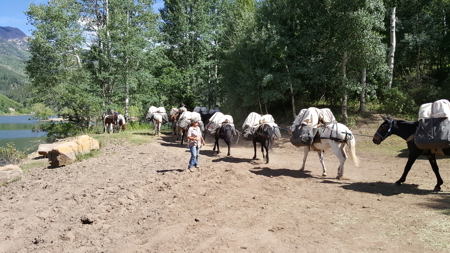 Colorado Wilderness Elk Hunting Outfitting Business for Sale - image 5