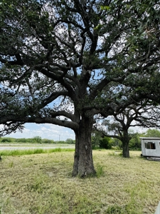 Checkout this perfect piece of land ready for your dream home. - image 1
