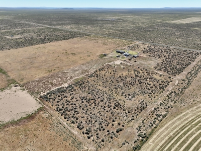 Eastern Oregon Crane Homestead - image 11