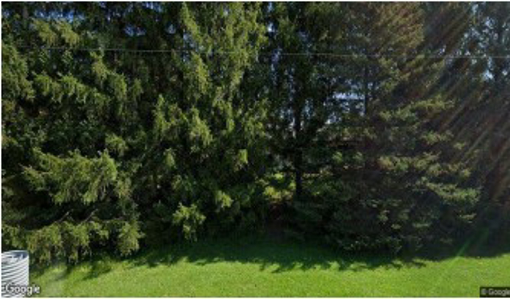 No Caption