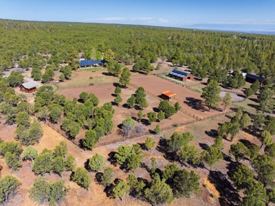 Luxury Mountain Retreat with Premier Equestrian Facilities - image 47