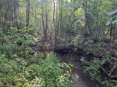 Hunting Heaven: 80-Acre Sportsman's Paradise awaits! - image 17