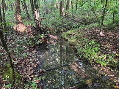 Hunting Heaven: 80-Acre Sportsman's Paradise awaits! - image 29
