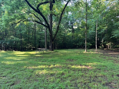 Hunting Heaven: 80-Acre Sportsman's Paradise awaits! - image 7