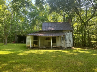 Hunting Heaven: 80-Acre Sportsman's Paradise awaits! - image 49