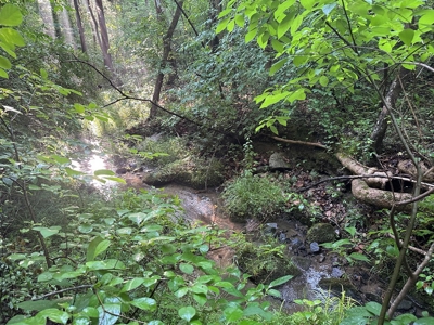 Hunting Heaven: 80-Acre Sportsman's Paradise awaits! - image 21