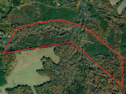 Hunting Heaven: 80-Acre Sportsman's Paradise awaits! - image 1
