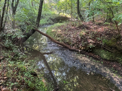 Hunting Heaven: 80-Acre Sportsman's Paradise awaits! - image 40