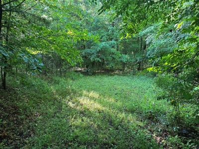 Hunting Heaven: 80-Acre Sportsman's Paradise awaits! - image 37