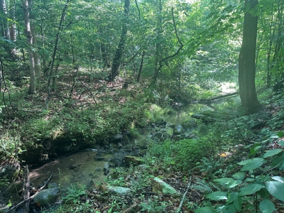 Hunting Heaven: 80-Acre Sportsman's Paradise awaits! - image 48