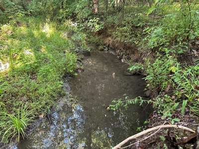 Hunting Heaven: 80-Acre Sportsman's Paradise awaits! - image 23