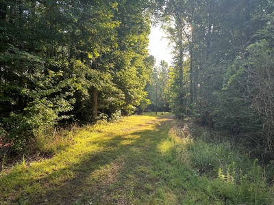 Hunting Heaven: 80-Acre Sportsman's Paradise awaits! - image 9