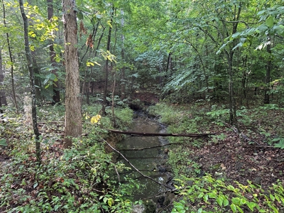 Hunting Heaven: 80-Acre Sportsman's Paradise awaits! - image 25