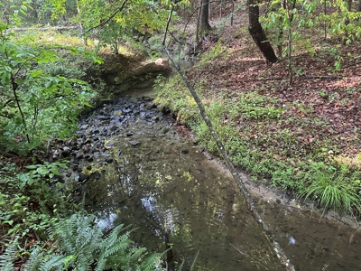 Hunting Heaven: 80-Acre Sportsman's Paradise awaits! - image 36