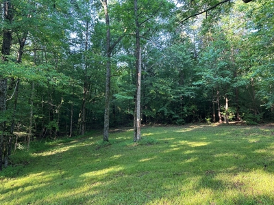 Hunting Heaven: 80-Acre Sportsman's Paradise awaits! - image 13