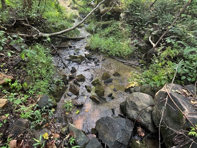 Hunting Heaven: 80-Acre Sportsman's Paradise awaits! - image 15