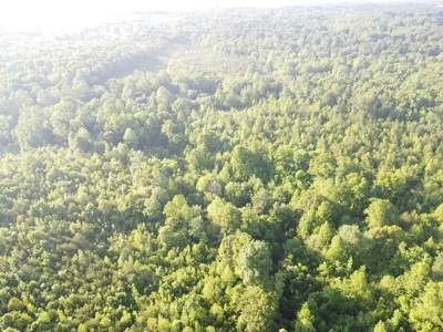 Hunting Heaven: 80-Acre Sportsman's Paradise awaits! - image 2