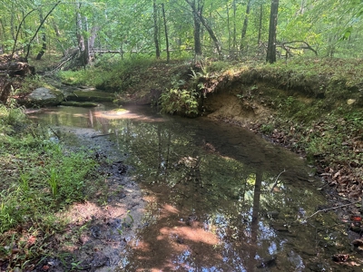 Hunting Heaven: 80-Acre Sportsman's Paradise awaits! - image 44