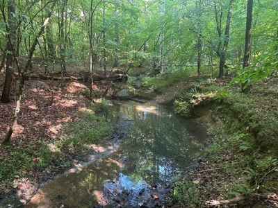 Hunting Heaven: 80-Acre Sportsman's Paradise awaits! - image 46