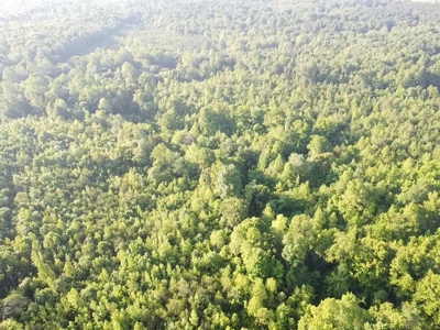 Hunting Heaven: 80-Acre Sportsman's Paradise awaits! - image 3