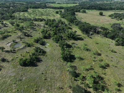 Cattle Ranch on the Lampasas River in Evant, Texas, - image 25