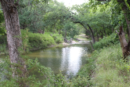 Cattle Ranch on the Lampasas River in Evant, Texas, - image 36