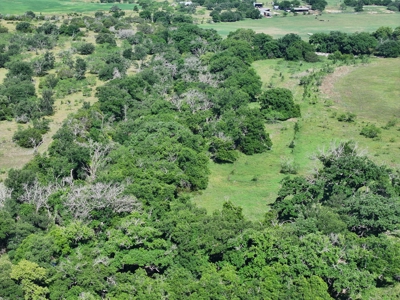 Cattle Ranch on the Lampasas River in Evant, Texas, - image 32