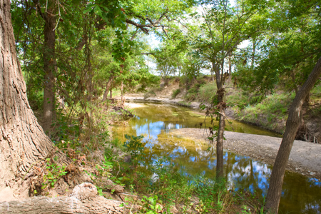 Cattle Ranch on the Lampasas River in Evant, Texas, - image 6