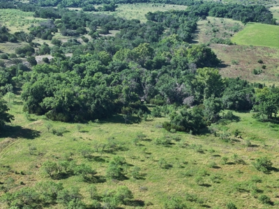 Cattle Ranch on the Lampasas River in Evant, Texas, - image 31