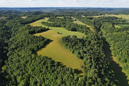 Timber Frame Home on 149+/- Ac. - Cottage - Cabin - Liberty, KY. - image 50