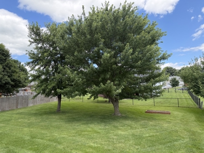 For Sale 3 Bed, 3 bath Home With Large Backyard Move-in Ready! - image 28