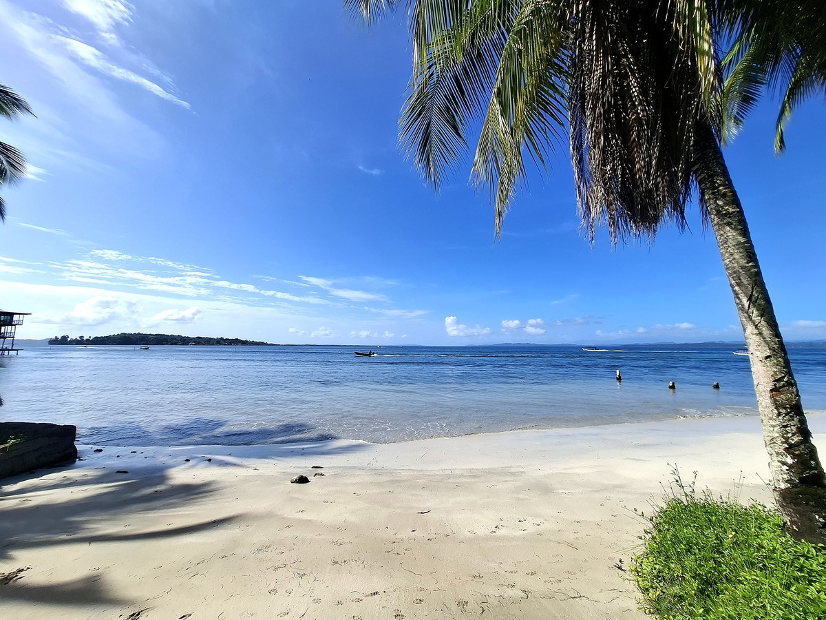 Affordable Beachfront Lot — Isla Carenero - 6