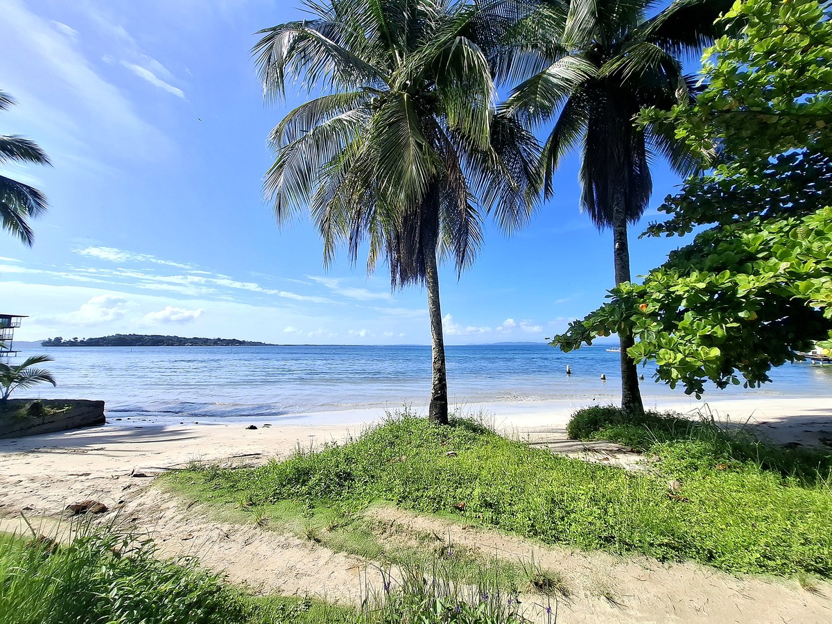 Affordable Beachfront Lot — Isla Carenero - 15