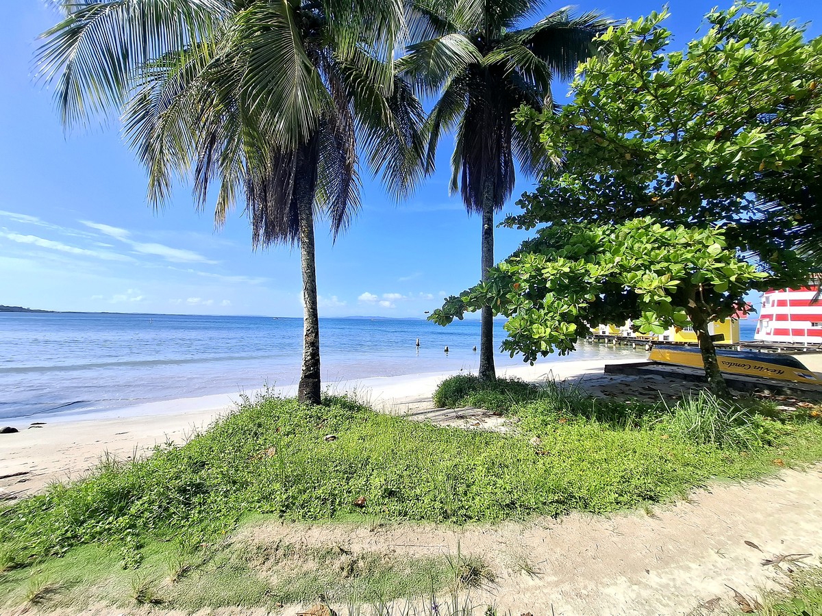 Affordable Beachfront Lot — Isla Carenero - 11