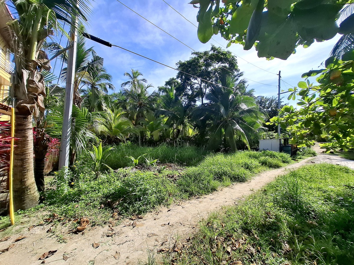 Affordable Beachfront Lot — Isla Carenero - 12