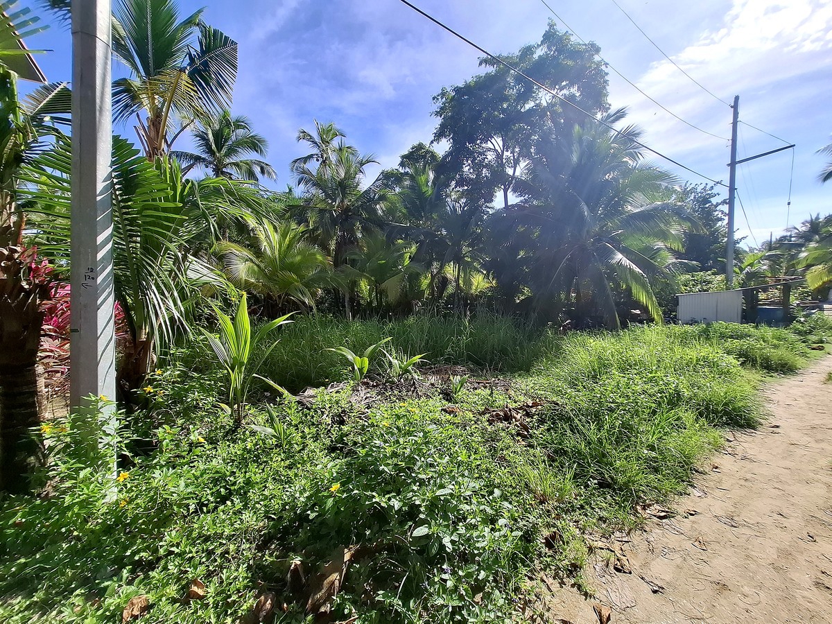 Affordable Beachfront Lot — Isla Carenero - 13